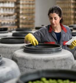 Woman assessing the quality of olives 