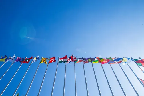 Various international flags on flagpoles